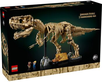 Скам'янілості динозаврів: Тиранозавр рекс