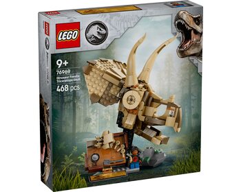 Скам'янілості динозаврів: череп трицератопсу