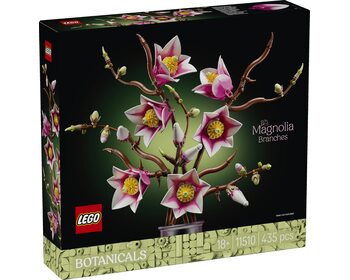 Гілки магнолії