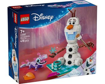 Пікнік Олафа та Бруні