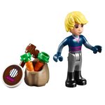 Купить Лего 41066 Анна и Кристоф: прогулка на санях, LEGO Disney Princess. Купить Лего 41066 Анна и Кристоф: прогулка на санях, LEGO Disney Princess.