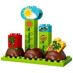 Купити Лего 10819 Мій Перший Сад, DUPLO.