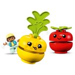 Купити Лего 10982 Трактор з овочами та фруктами, Дупло. Купити Лего 10982 Трактор з овочами та фруктами, Дупло.