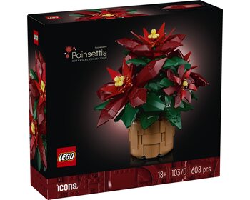 Пуансеттія