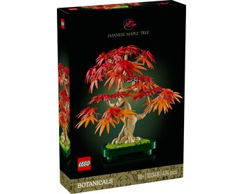 Японський червоний клен бонсай