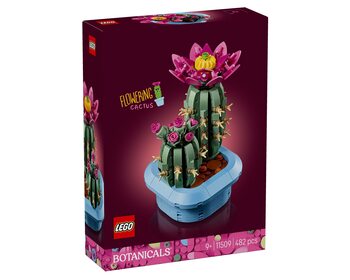 Квітучий кактус