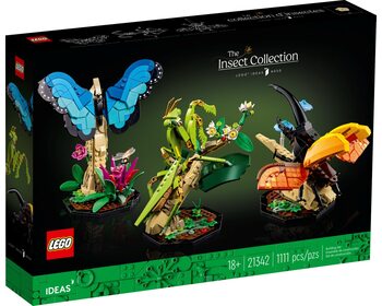 Колекція комах