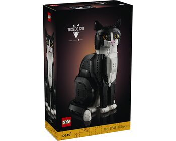 Чорно-білий кіт