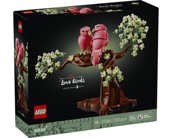 Закохані пташки