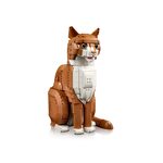 Купити Лего 21376 Руда кішка, Ідеї.