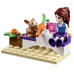 Купити Лего 10749 Ринок органічних продуктів, LEGO Juniors. Купити Лего 10749 Ринок органічних продуктів, LEGO Juniors.