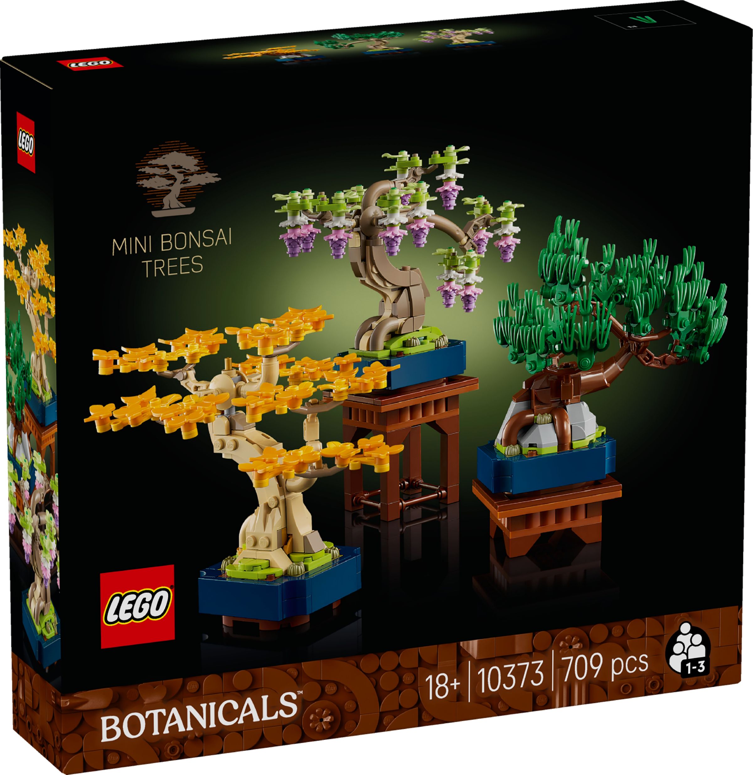 10373-box.jpg